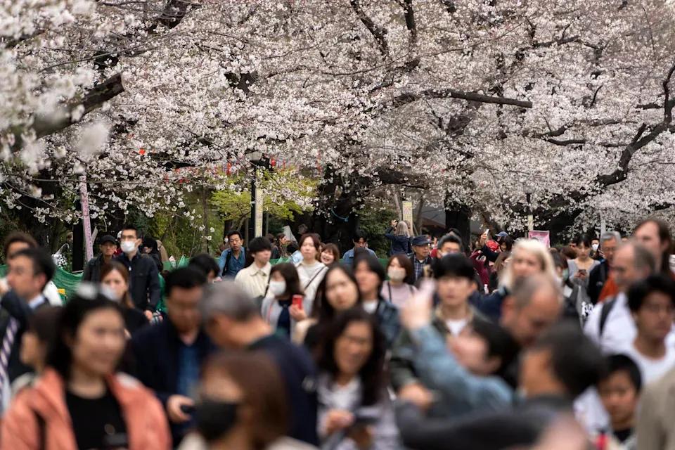 tax，又称出国税、旅游税或游客税，是从日本离境的旅客皆须缴交的税金，基本上已包