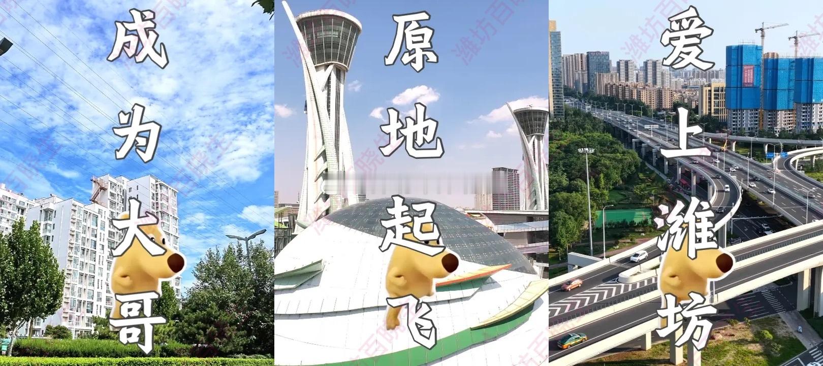 潍坊称霸齐鲁系列视频火了 短视频平台这四条视频太懂山东人了！用航拍+魔性袋鼠动画
