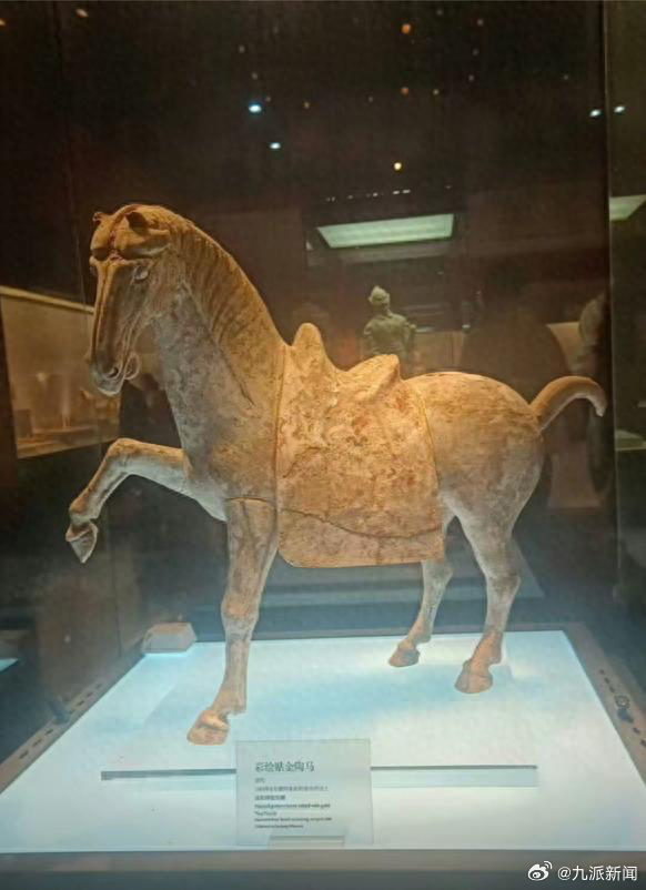 #网友称洛阳博物馆唐代陶马碎了#【#馆方回应网传唐代彩绘贴金陶马破碎#：已经撤回