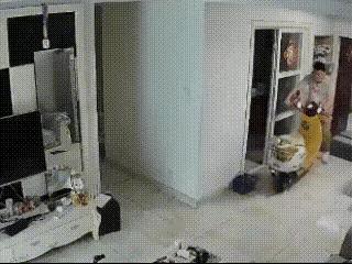 人车情未了