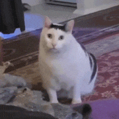 和府捞面 只有面现煮啊，我超喜欢吃它家那个草本软骨汤面的也一直以为现熬的，咋也这