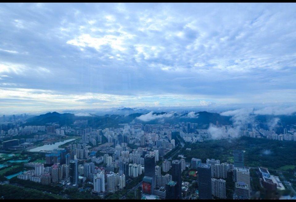 深圳为了鸟儿能有多拼深圳在寸土寸金的市中心，硬生生为候鸟保留一片红树林湿地。为了