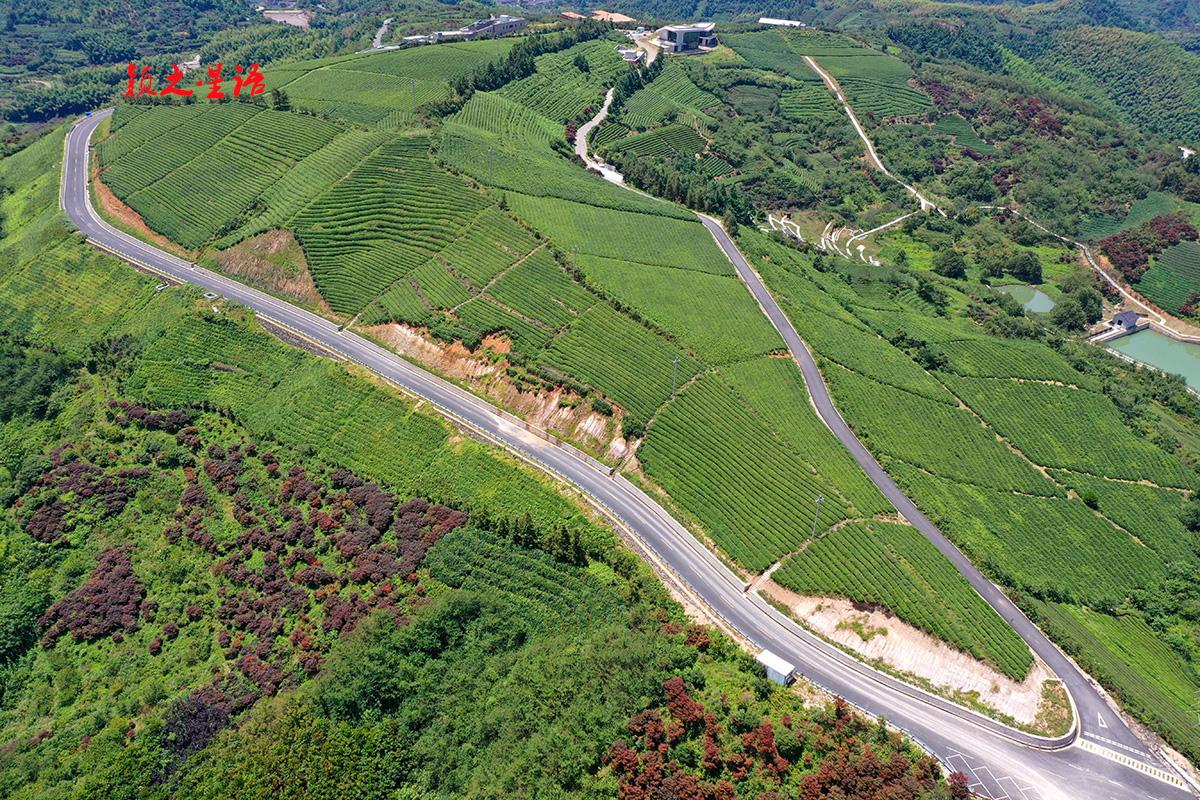 浙江省宁波市余姚市大岚镇有座突出的山头，名为眠岗，还有一个响亮的名字：姚江源。