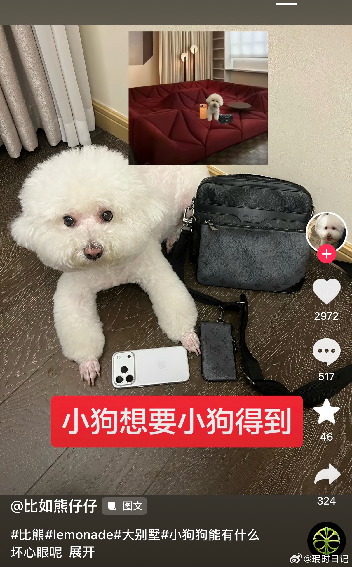 这个狗怎么还有后续，我真绷不住了 