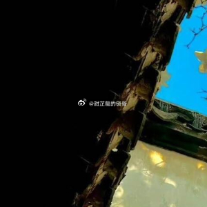 闹钟响了。准确地说，是第三个闹钟响了。前两个被林溪按掉的时候，她甚至连眼皮都没睁