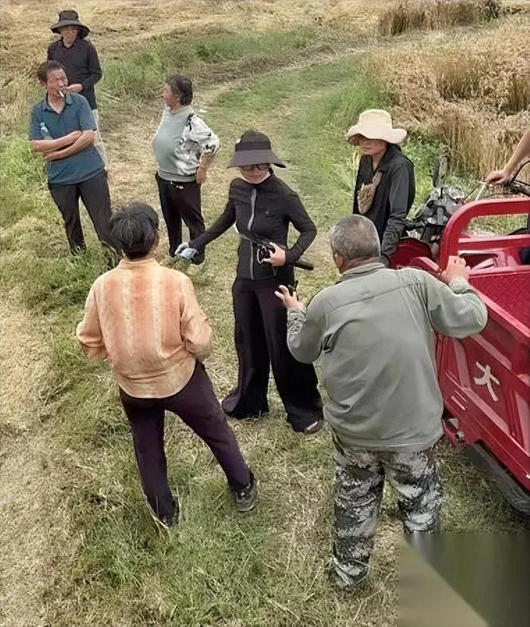这对小夫妻

我真的服了

好好出来割麦子居然还能被上一课？

俩人家中开着超市