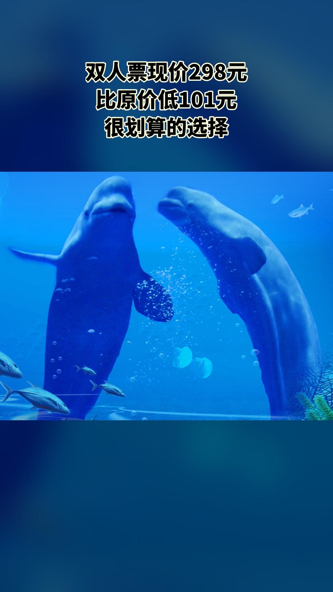 冰雪海洋世界，新鲜上架，别错过，【双人票】，景区官方、随时退·过期退...