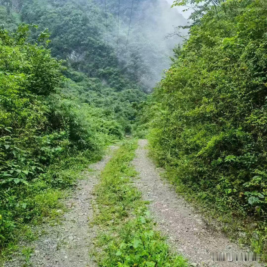 走在山野里，空气好清新，呼吸着山与水之间的灵气，自然心旷神怡！！！！