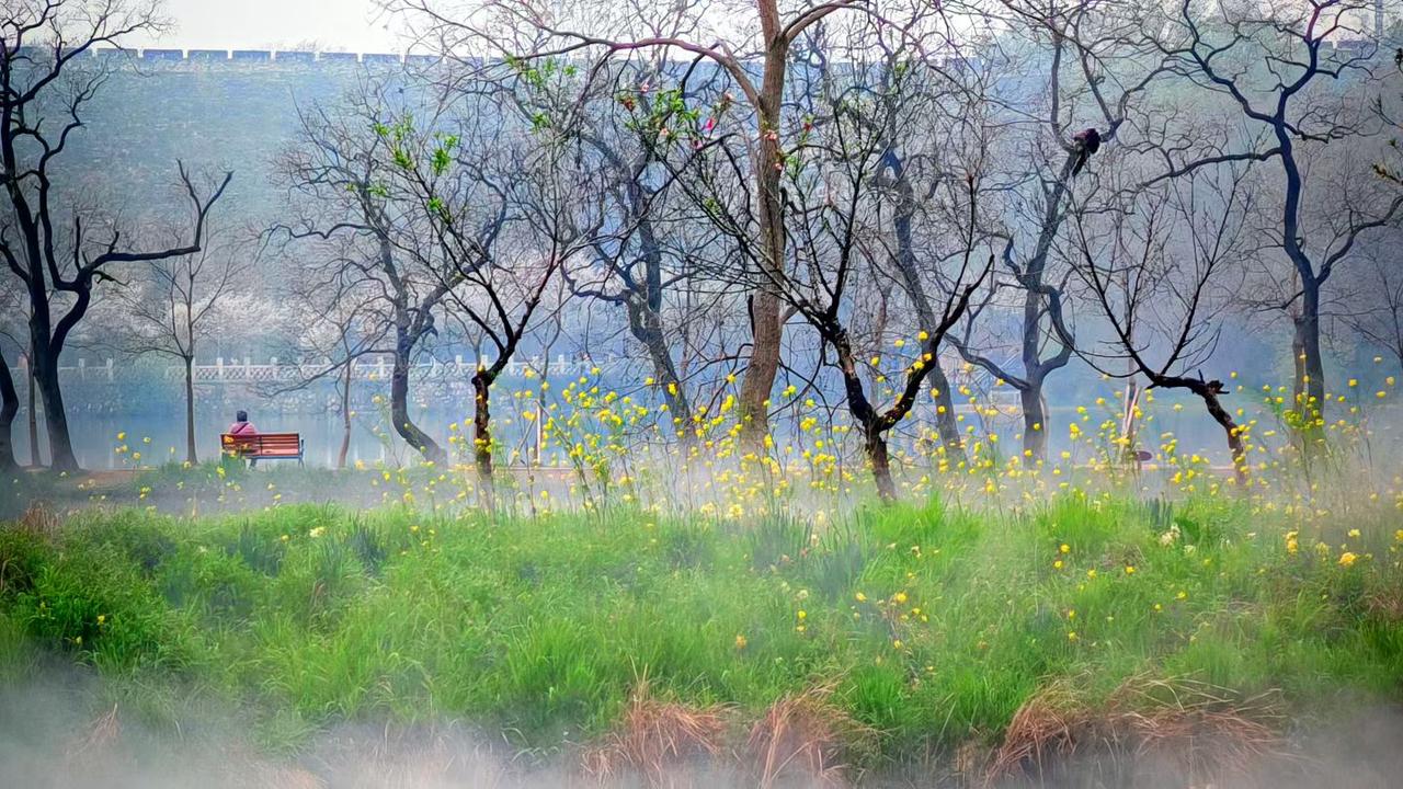 1. 把日子过成诗，在这满目绿意里，寻得一份自在与安然。
​
2. 雾色温柔，花