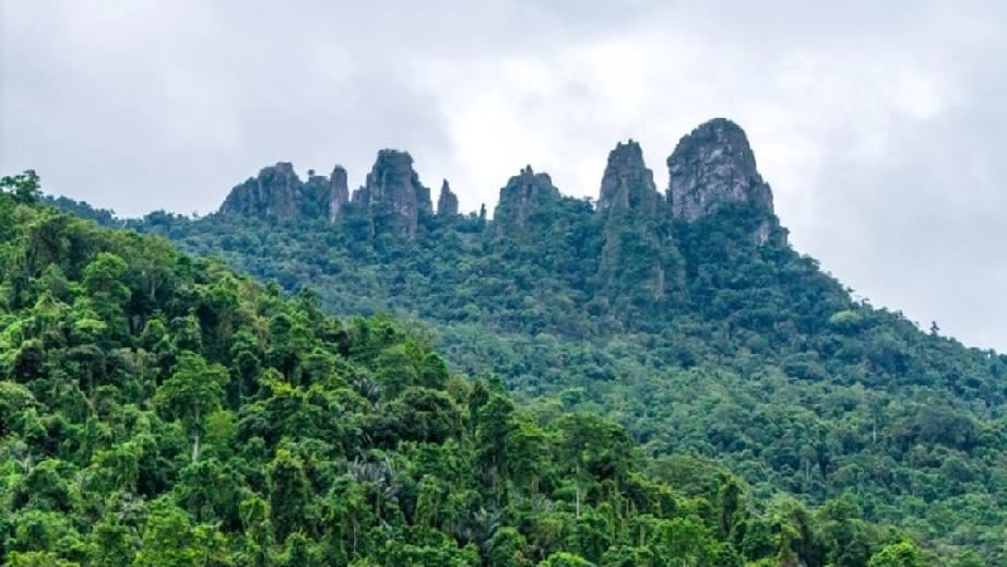 海南人注意！保亭七仙岭背后这段故事，很多人还不知道

老铁们，大家发现没有？在海