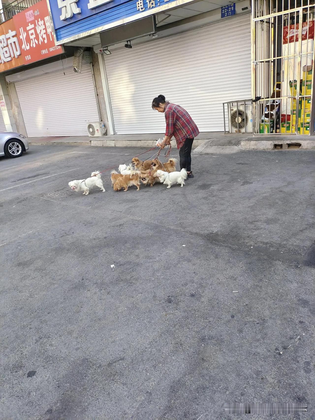 标题：《爱与责任的守护》
 
在一个宁静的小城镇里，生活着一位名叫李华的母亲。她