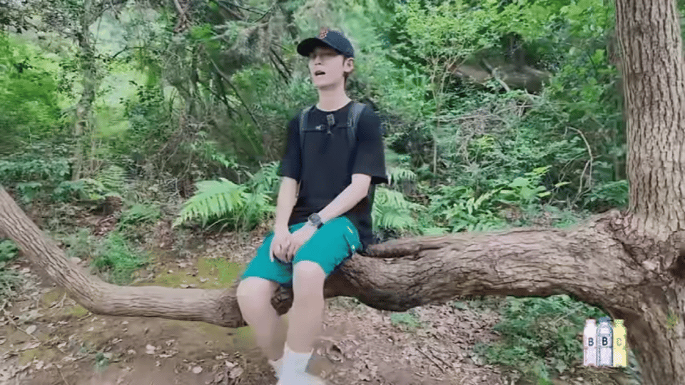 年轻就是好躺在树上都能睡得着 树杈当床，树叶当被，就这么蜷着睡得香，连风吹树叶的