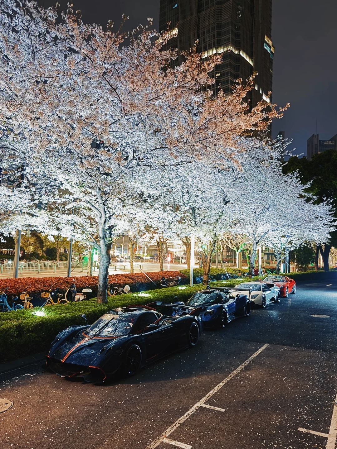 夜晚、樱花与帕加尼Huayra R绝美车片