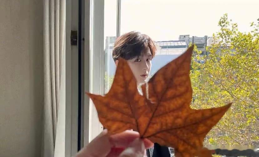 成毅两京十五日cy成毅朱瞻基  ✩𐄙⍣🦋𝕿𝖊𝖆𝖒🌸𝓒𝓱𝓮𝓷