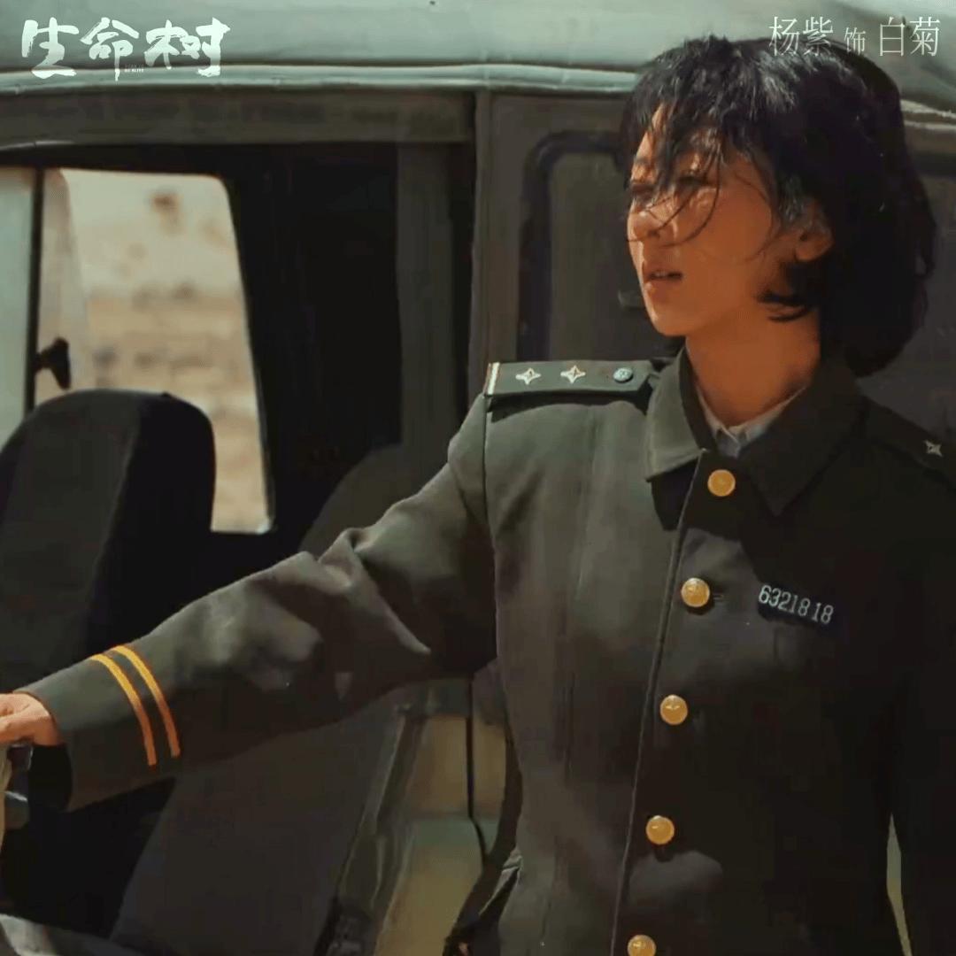 生命树是个好饼，但感觉播出效果会扑 ​​​
