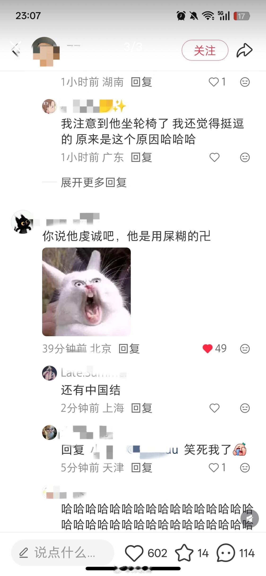 生命树生命树 八倍镜追剧的树学家们 眼力太牛了👍没有你们我简直是瞎追剧