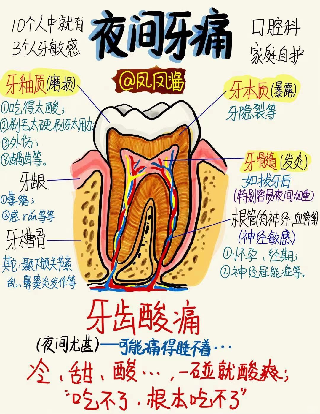 🔔健康笔记 | 夜间牙痛急救 建议点赞收藏