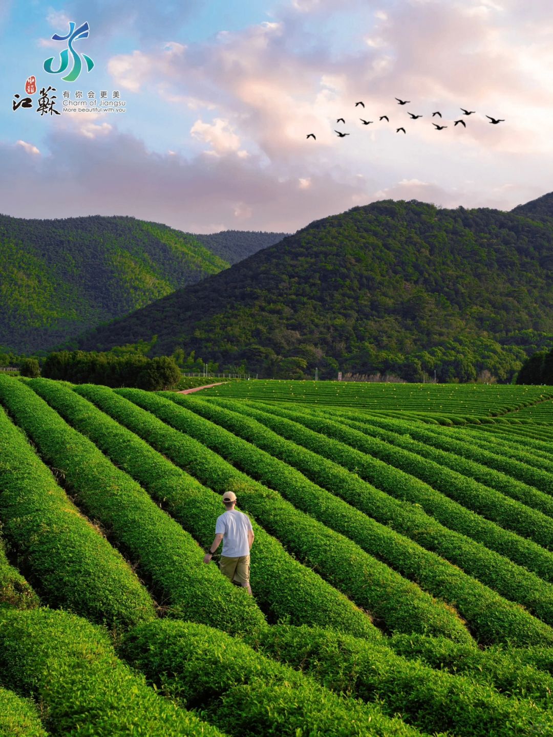 不挤人海🌄我太爱南京周边的《余生》取景地🍃
