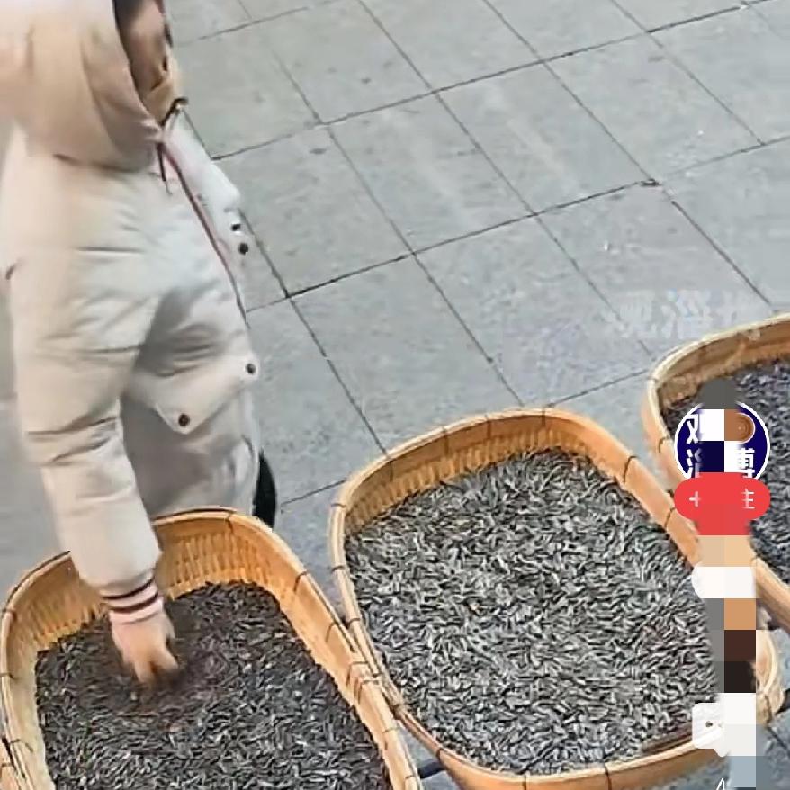 这占小便宜没边儿了
大妈天天顺走瓜子
摊主盖塑料布都拦不住？这也太没底线了吧。