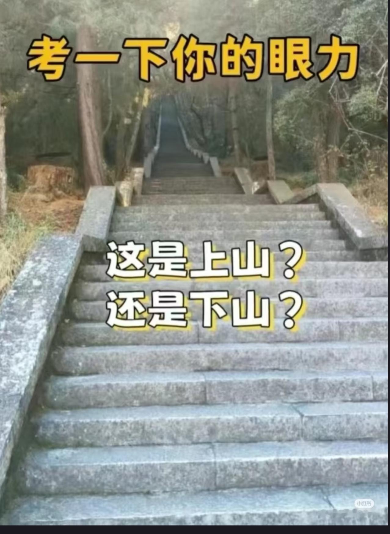 这到底是上山还是下山，我真没看出来 