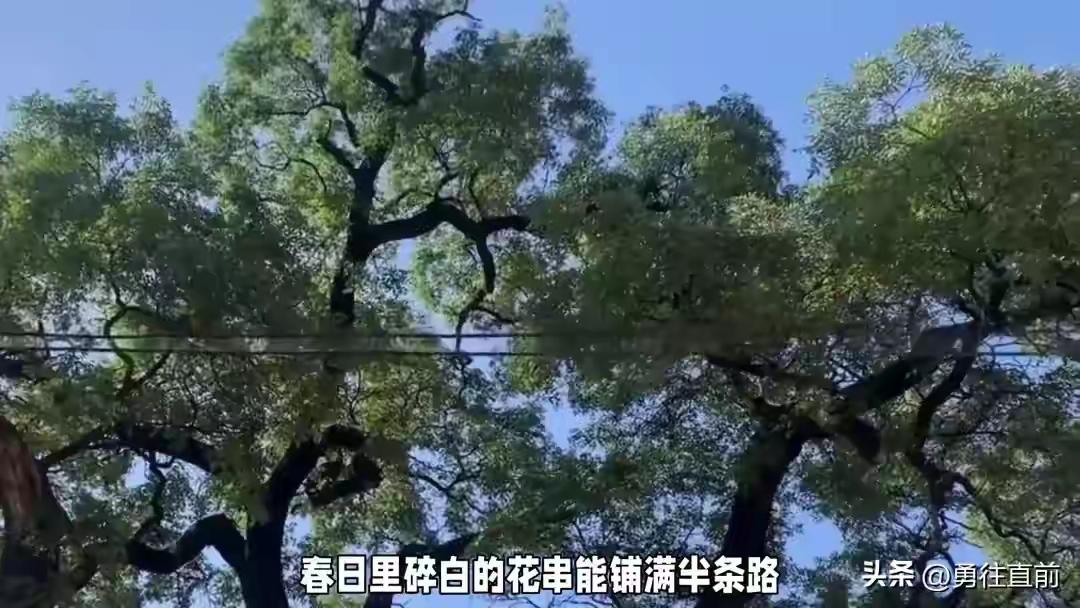 日子再苦，别失去了希望，生活再难，也别丢掉了笑容 勇往直前

日子再苦，别失去了