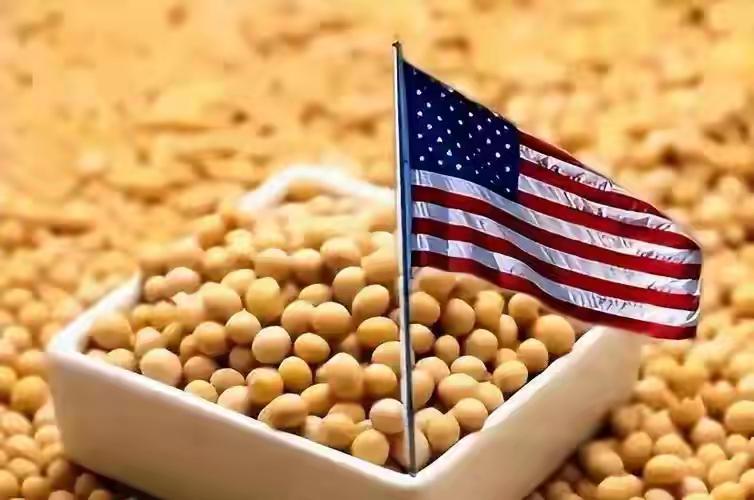 美国人乐坏了！不受扣押180万桶原油影响 中方采购美国800万吨大豆