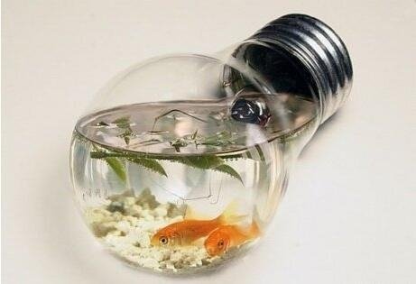 如何活的逍遥自在有智慧的人，从来不活在别人的嘴里，也不活在别人的眼里。识自本心，