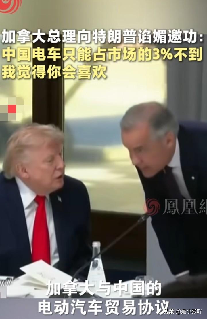 加拿大还是划进美国算了
一个堂堂的大国，进口多少辆车，还要和特朗普报告。比很多州