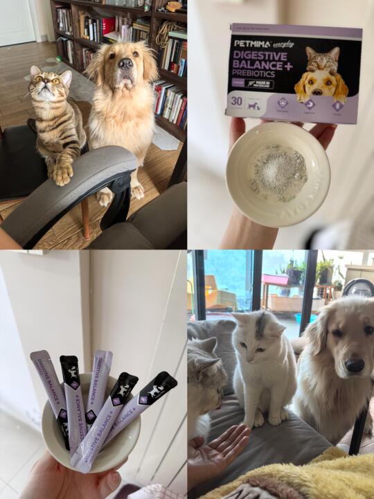 这款益生菌我真的囤了又囤