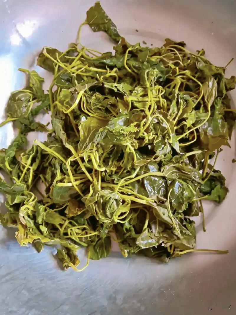 今天简单做了一顿晚饭，没有山珍海味，就是吃个杨叶做的包子，再加上那抹青绿。
日子