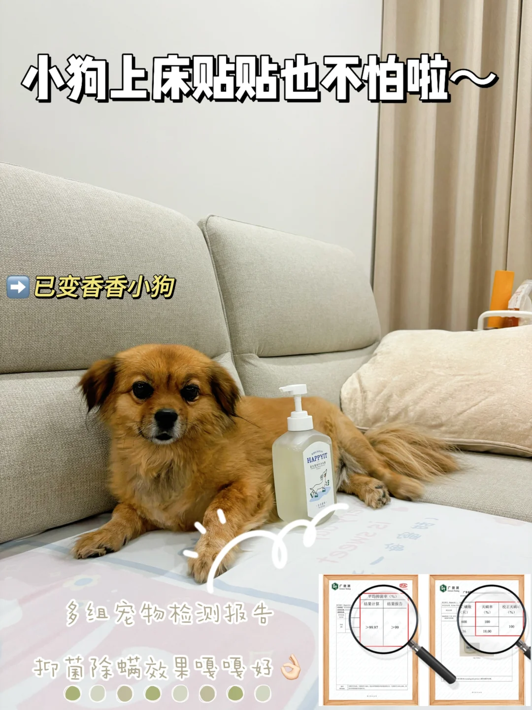 我就说狗狗在夏天体味就是大！！