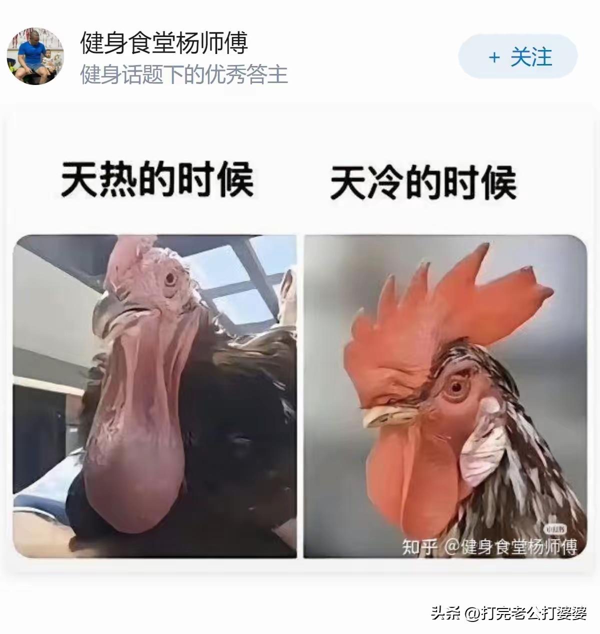 是不是这个理啊