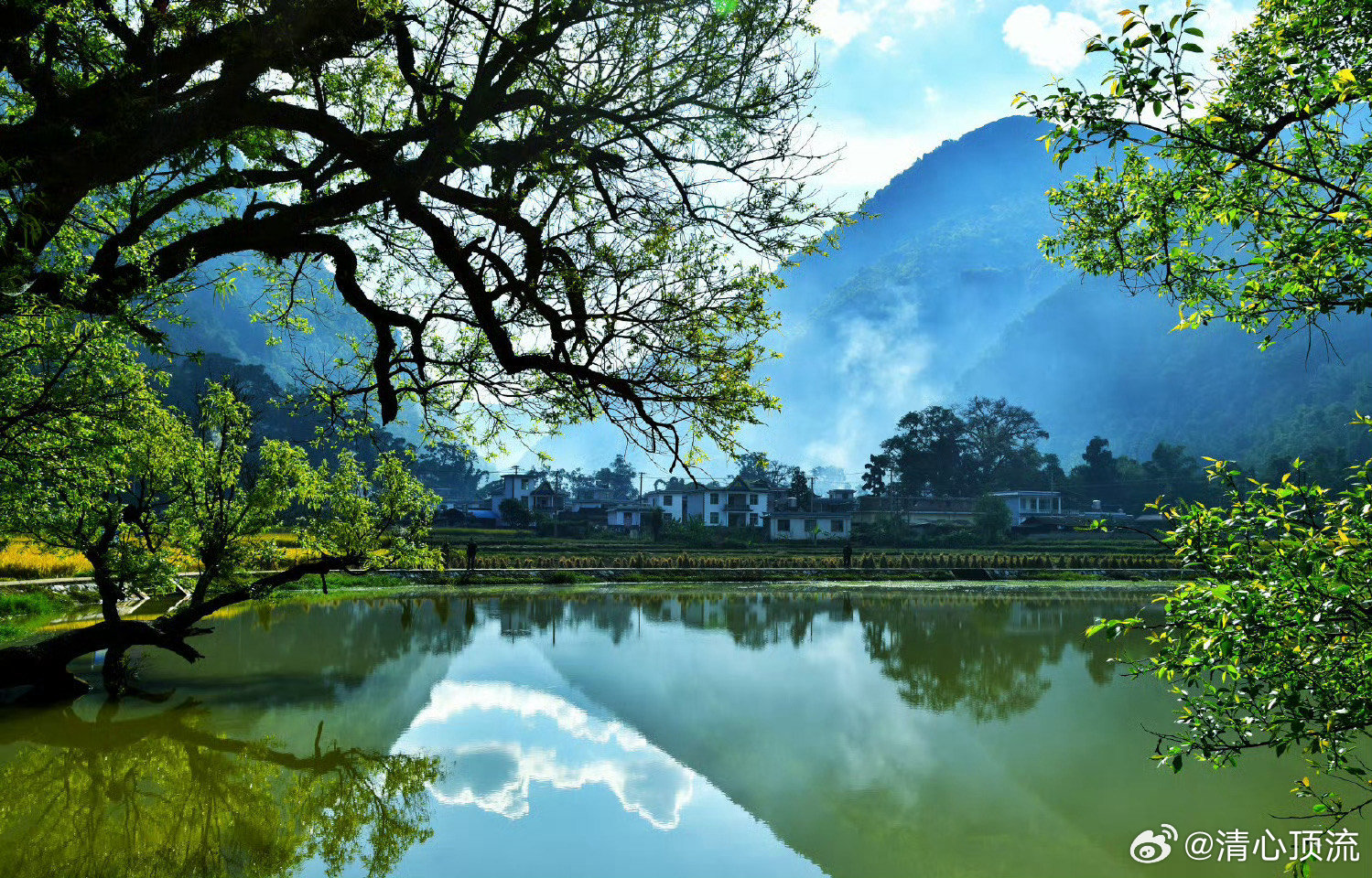 七彩云南万千气象云南产业带动的生活红利旅游业的转型升级与新兴产业的落地，让本地人