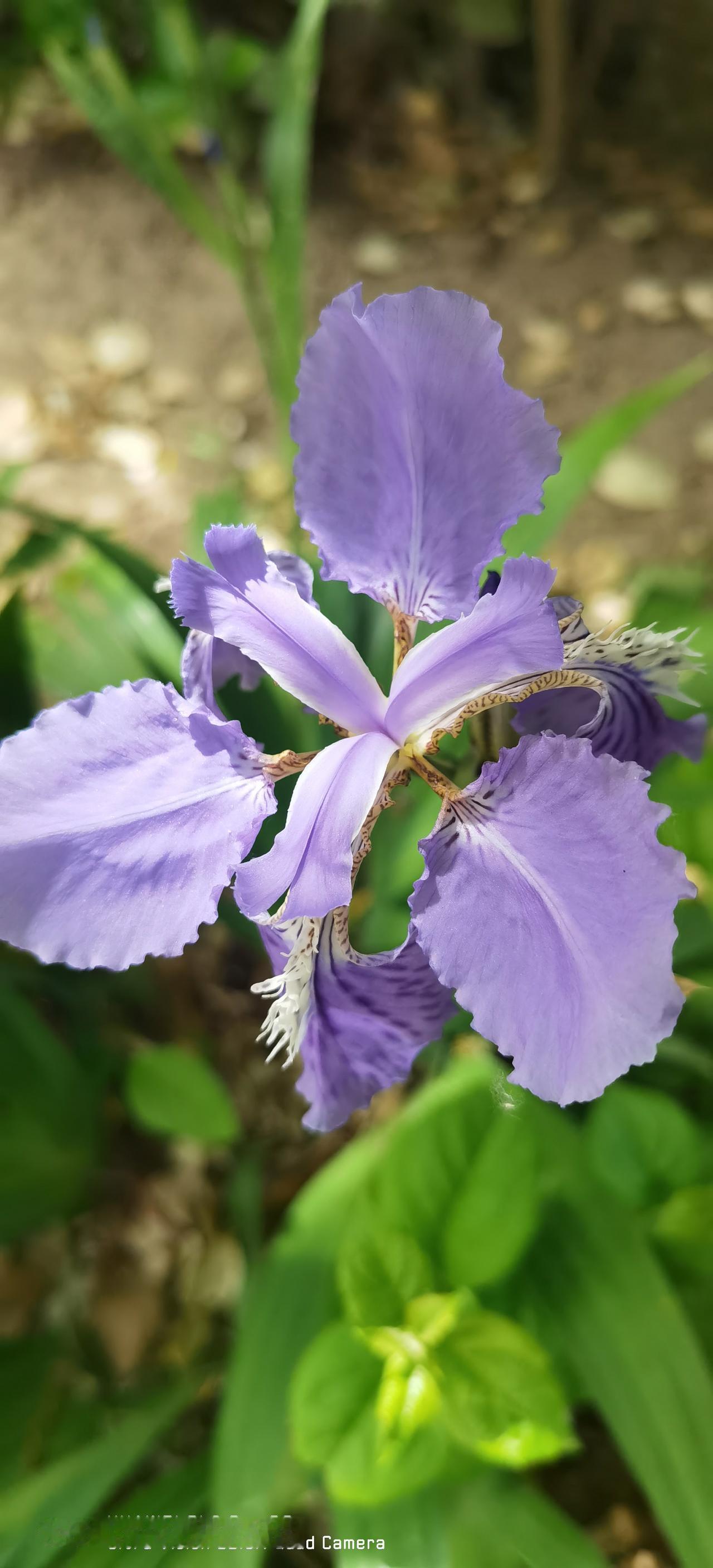 今天，再仔细回味一下张雪峰曾经说过的一段话，就知道为什么张雪峰那么受人爱戴了，因
