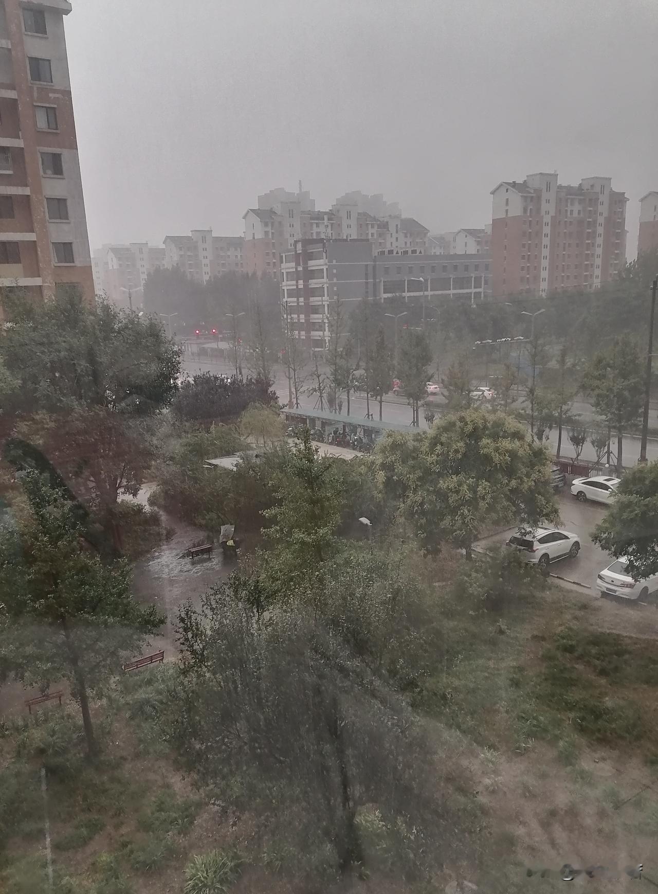 此时此刻乌云满天，雷声轰鸣，一场雨即将来临。屋内的轻音乐慢悠悠地响起，男同事们都