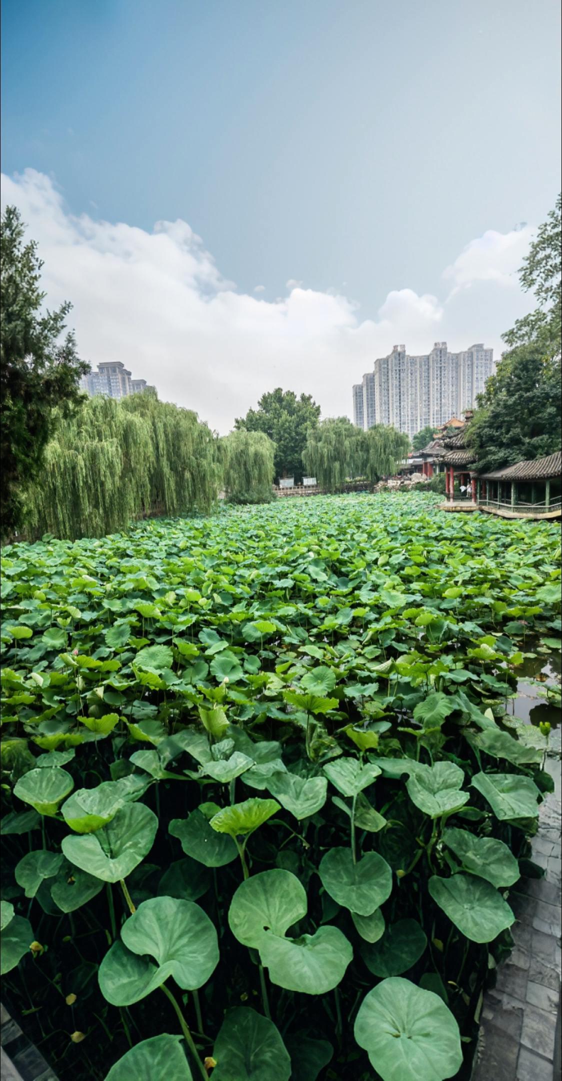 AI扩图 重症肌无力