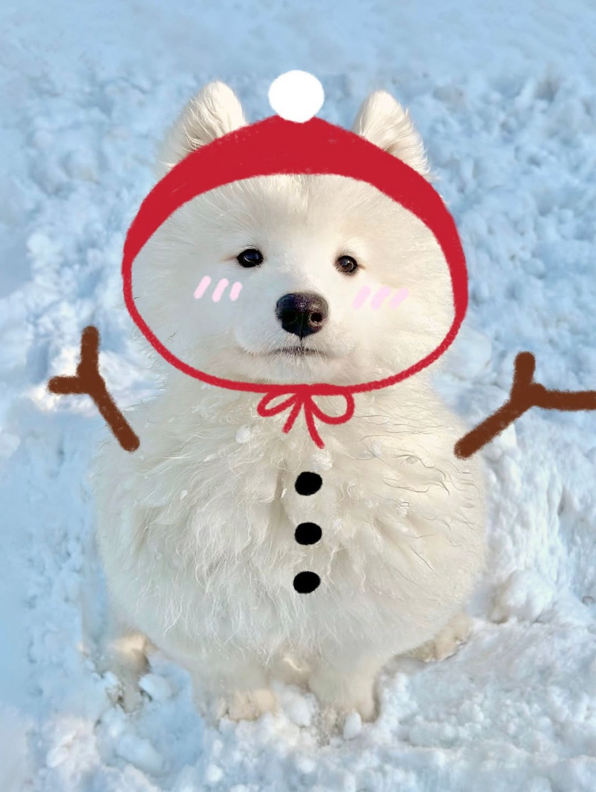 你好，我是雪王耶，希望能给你带来一些凉爽 ​​​