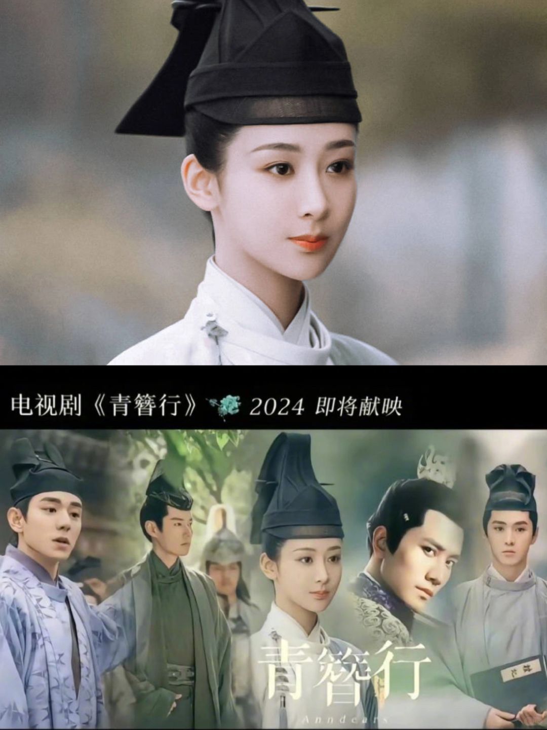 好好好，都这么癫了吗？网传《青簪行》改名《簪中录》，青簪行，簪中录，都行，只要播...