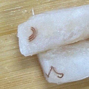 天津一位家长在山姆会员商店买了鳕鱼片，本来打算给孩子做辅食，结果处理鱼肉的时候吓