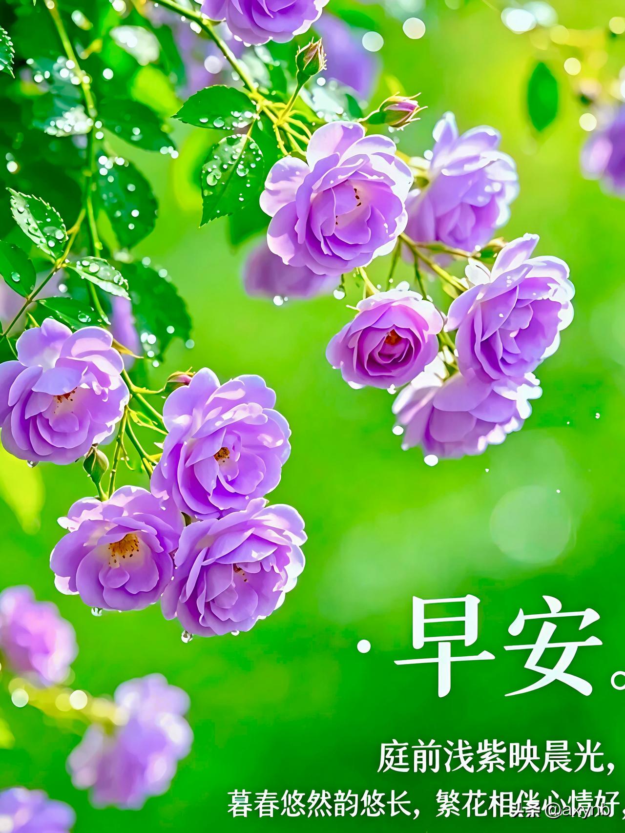 心有牵挂，万里不远；
常怀惦念，岁月温柔。
有幸遇见，问候暖心；
友谊情深，快乐