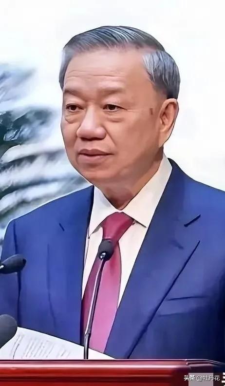 越南传来新消息！
2026年3月19日，越南正式向阿尔及利亚求助，希望确保石油和