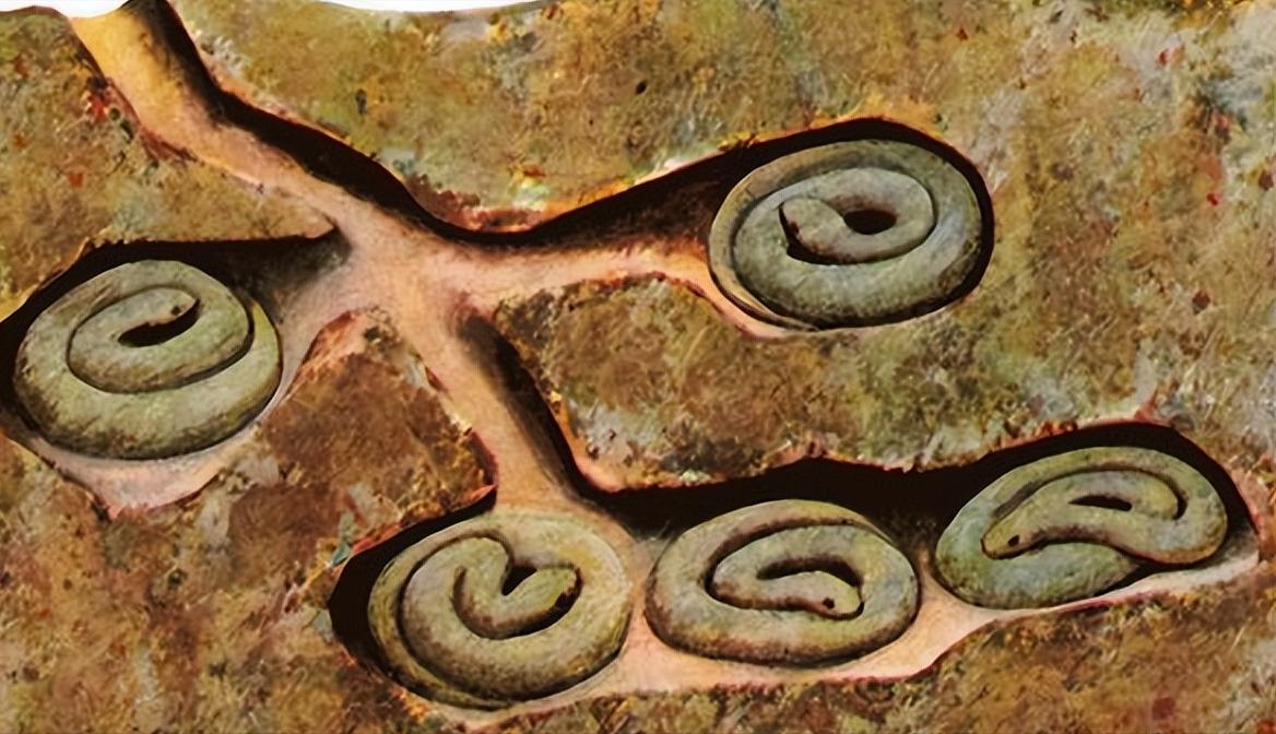 蛇冬眠的时候有多危险？一位与蛇打了半辈子交道的捕蛇人说得直白：90%的人都想不明