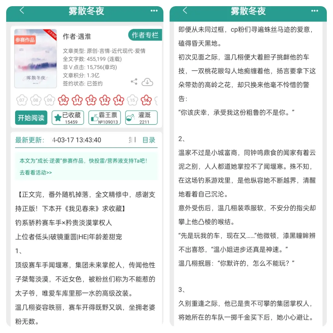 赛车手 已完结 小说 炒鸡好看小说