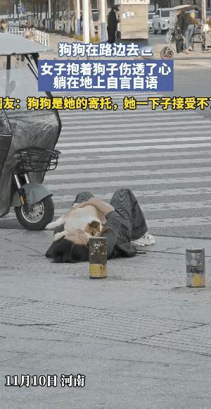11月10日，河南有个女子，躺在大马路上，抱着死去的狗狗，哭的死去活来。

狗狗