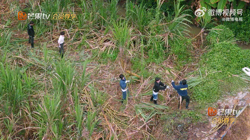 很久没有看到味儿这么正的蘑菇屋了是谁的青春DNA狠狠动了！R1SE合体蘑菇屋干农