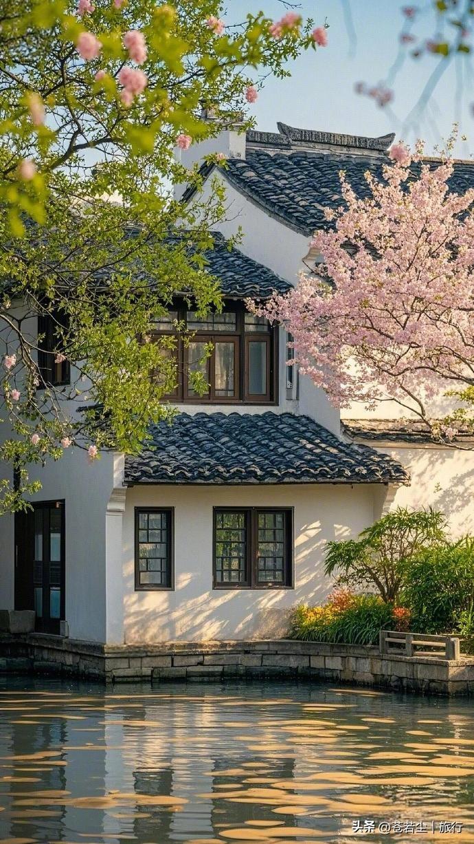 春江水暖，细雨如丝，轻洒岸边汀洲。繁花随雨坠落，铺成一地粉色诗意，水面树影婆娑，