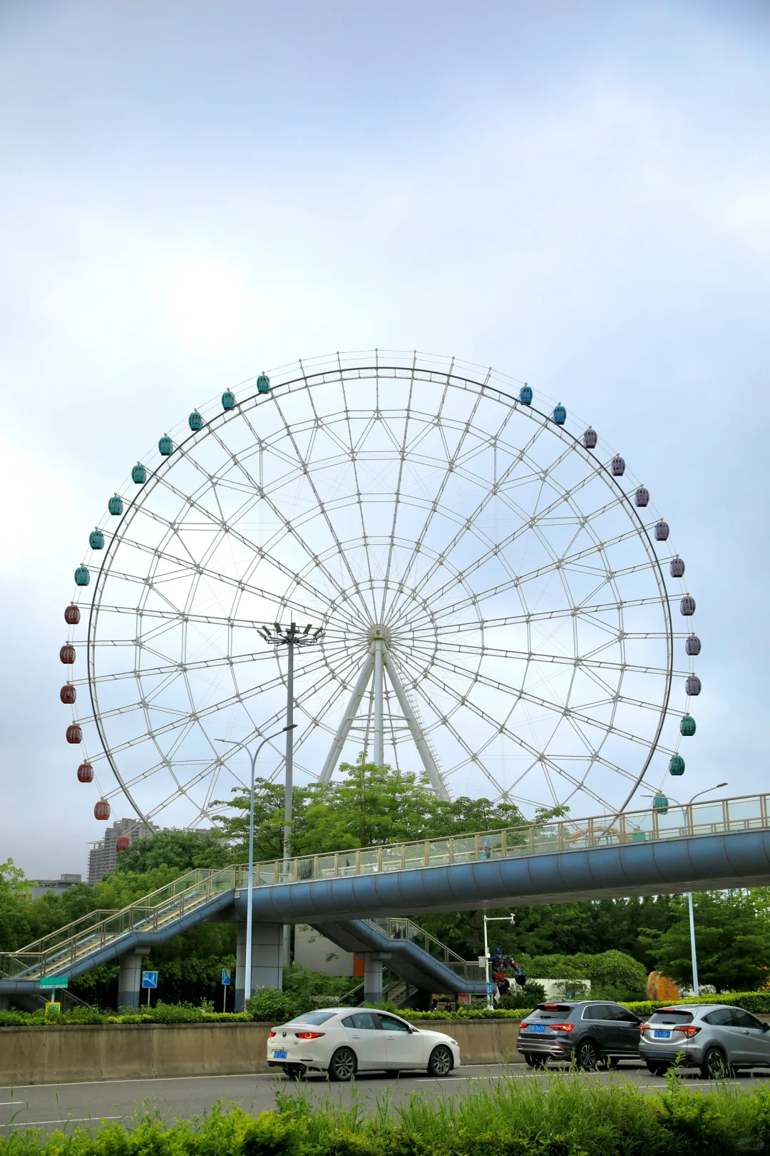 这摩天轮好像有点秃顶啊🧑‍🦲