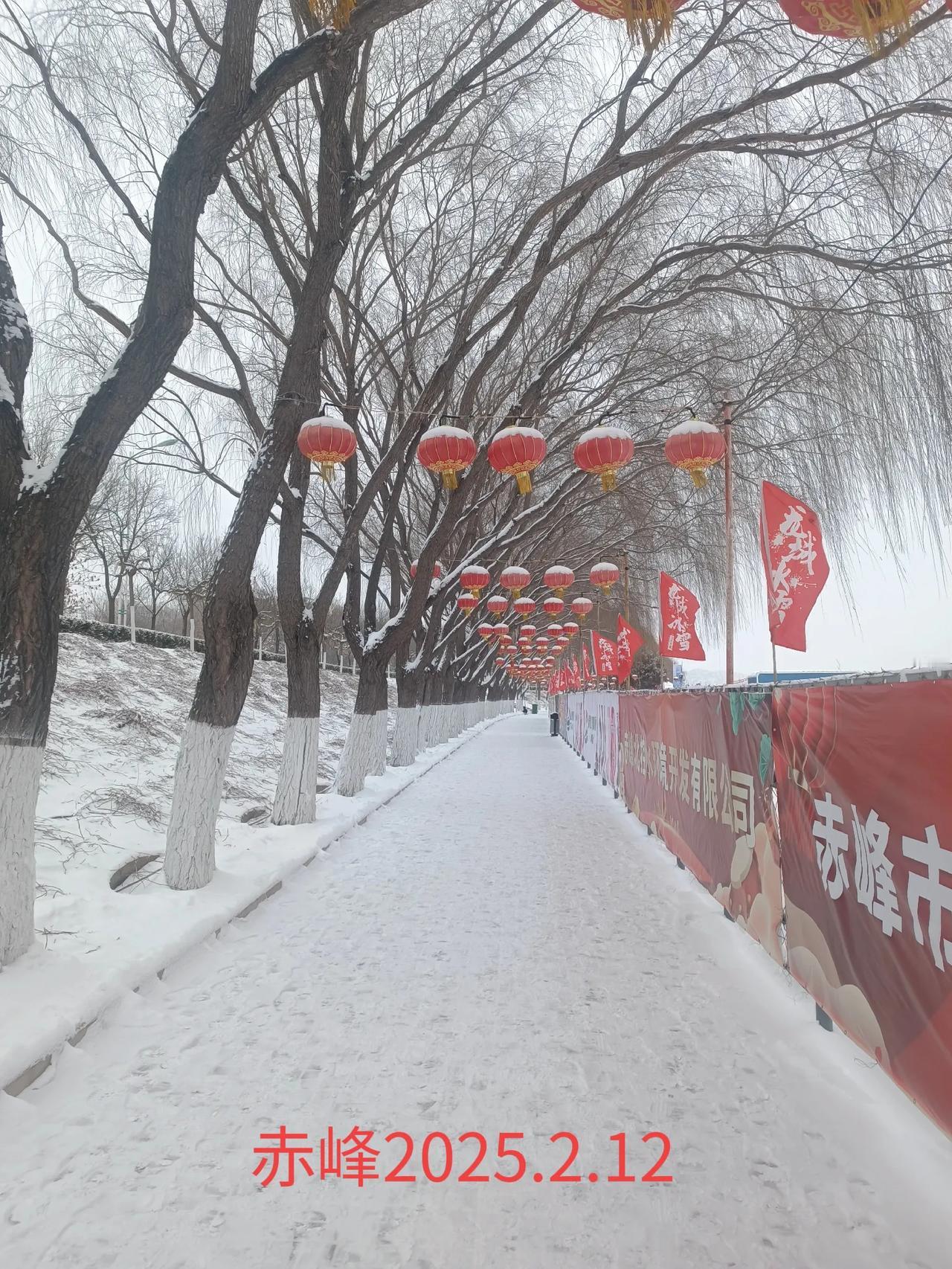 分享一张你最近随手拍的照片吧路边随拍，北方的冬季。