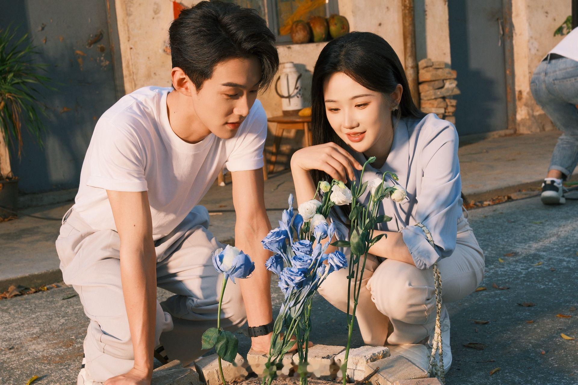 没有忤逆李卓扬张晋宜这两张脸的理由 