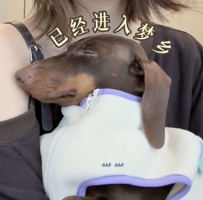 现在刷小红薯，刷到腊肠都会停下来看两下，透过他们看点点。想两个小鼻嘎了。 